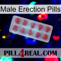 Male Erection Pills 18